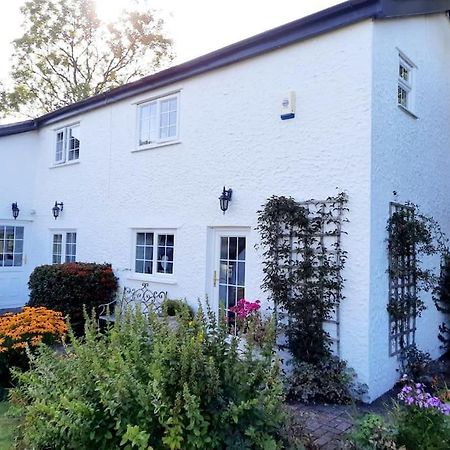 Rhos Y Bel Cottage Angelsey Llangadwaladr  Eksteriør bilde