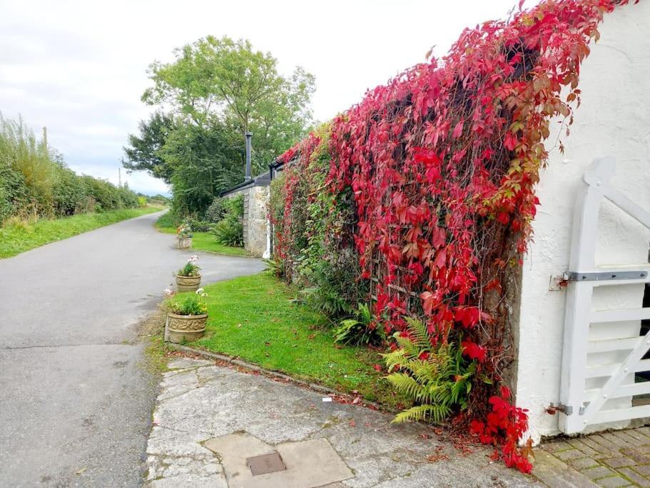 Rhos Y Bel Cottage Angelsey Llangadwaladr  Eksteriør bilde