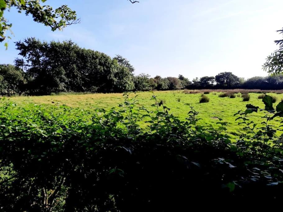 Rhos Y Bel Cottage Angelsey Llangadwaladr  Eksteriør bilde