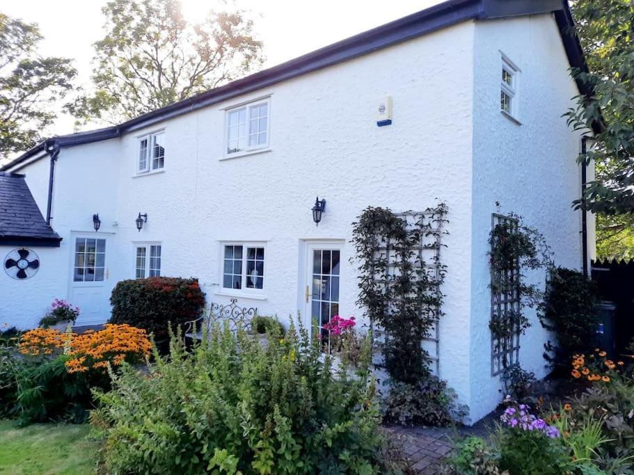 Rhos Y Bel Cottage Angelsey Llangadwaladr  Eksteriør bilde